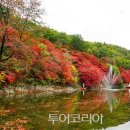 철암장터 이미지
