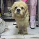 안암지구대 이미지