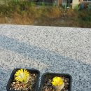 친구친구 이미지