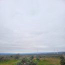 시애틀공원 이미지