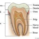 금천동물병원 이미지