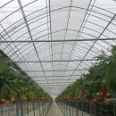 혜숙농장 이미지