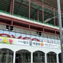 제 17회 대구 꽃박람회 후기: 좋아하는 꽃에 별수국 추가