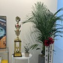 모블리스튜디오