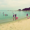 잠잠비치 이미지