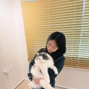 Neko Stay 이미지