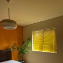 벽돌집순이 이미지