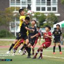 강릉중앙초등학교 이미지