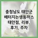 충청남도 태안군 배터지는생동까스태안점, 리뷰, 후기, 주차