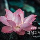 일성한의원 이미지