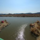 성당배수장 이미지