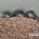 금지농약사 이미지