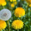 아름다운여행 이미지