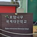 로뎀나무 이미지