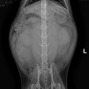 개금동물병원 이미지