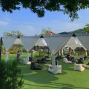 용문 애견 이미지