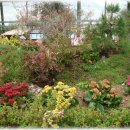 상수농장 이미지