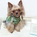 (주)에이오에스 이미지