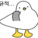 새나드리 이미지