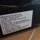 와이앤트레이딩