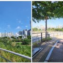 탄천 연원마을 이미지