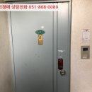 대청로21번길 이미지