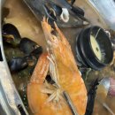 택이네조개전골 | 아산테크노밸리 둔포맛집 택이네조개전골 후기