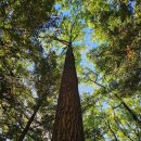 상북초등학교소호분교장 이미지