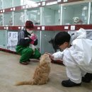 제주특별자치도 동물위생시험소 (동물보호센터) 동물병원 이미지