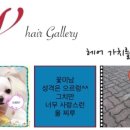 H헤어갤러리