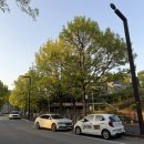 파주 북카페 추천 조용하고 뷰좋은 리파크