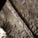 명진1차아파트 이미지