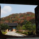 완산-1 이미지