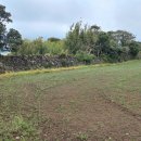 삼달1리 이미지