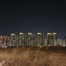 전두간척지 | 12억 묻고 더블로가 힐스테이트송도더스카이청약후기및 임장기