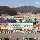 고성동물병원 - 고성군 간성북로7번길 18 | 고성동물병원