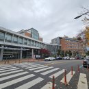 대한민국 넘버원 대학. 서울대 4편(농생대, 자연대, 약대) 이미지