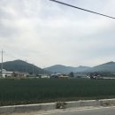 산마루 골프존 | 경기도 안성 골프존카운티 안성Qcc 라운드후기와 안성Qcc 근처 맛집~♡