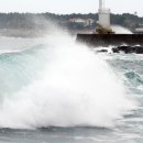 중인초등학교병설유치원 이미지