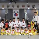 용인대 국가대표 태권도장 이미지