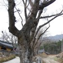 영각사 - 1856 | 영각사