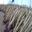 영신농원 이미지