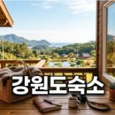 비치힐스파펜션 | 삼척펜션 오션뷰 풀빌라와 가성비 숙소 쟁점 비교 및 선택 기준