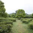 설아다원 이미지