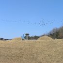 화완옹주 및 정치달 묘 이미지