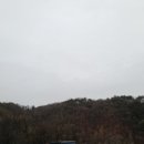 우리통닭 네이버블로그