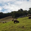 송산목장 이미지