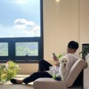 펫케아(PETKEA) | 🐶 양주 옥정 실내 애견카페 ‘펫케아(PETKEA)’ 리뷰 | 더울 때 시원한 힐링 공간이 필요할 때 딱!