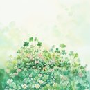권선동 1013-7 | 수원.권선[비테라피]