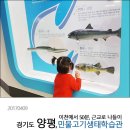 뽀얀빨래방 이미지